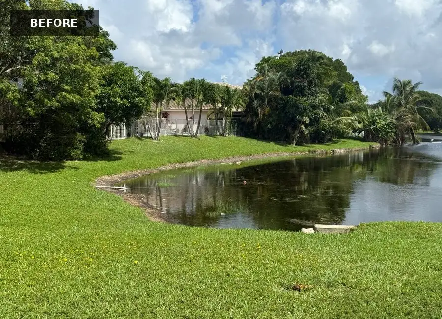A wide view of the bank before the repair
