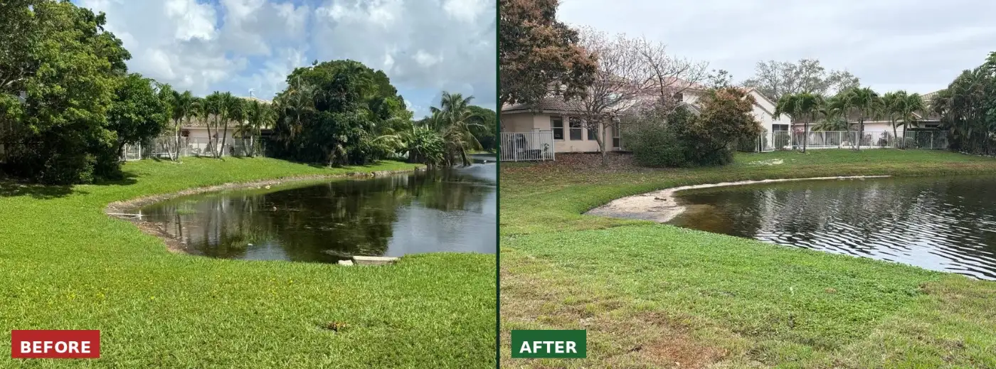 Campus lake bank before and after